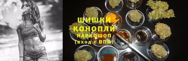 соль ск Пестово